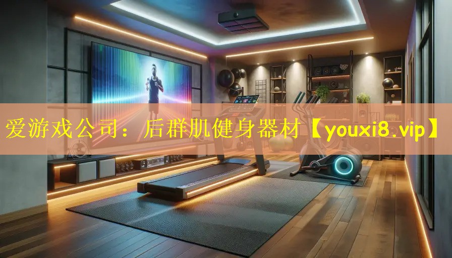 爱游戏公司:后群肌健身器材