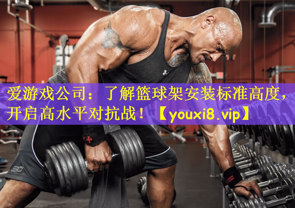 爱游戏公司:了解篮球架安装标准高度,开启高水平对抗战!
