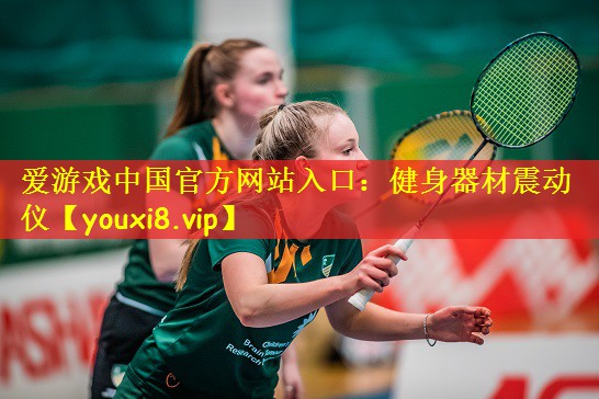 爱游戏中国官方网站入口:健身器材震动仪