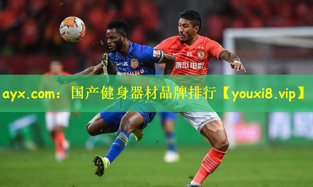 ayx.com:国产健身器材品牌排行