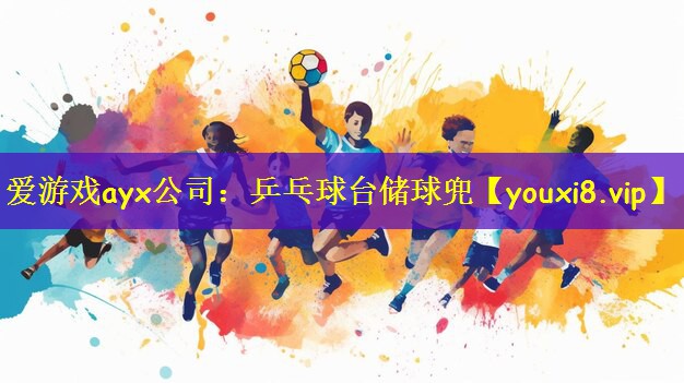 爱游戏ayx公司:乒乓球台储球兜