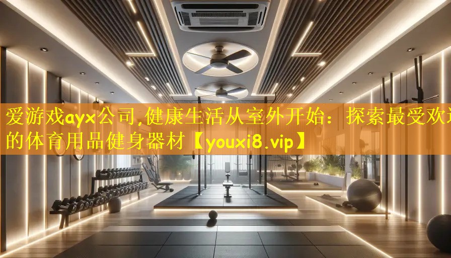 爱游戏ayx公司,健康生活从室外开始:探索最受欢迎的体育用品健身器材