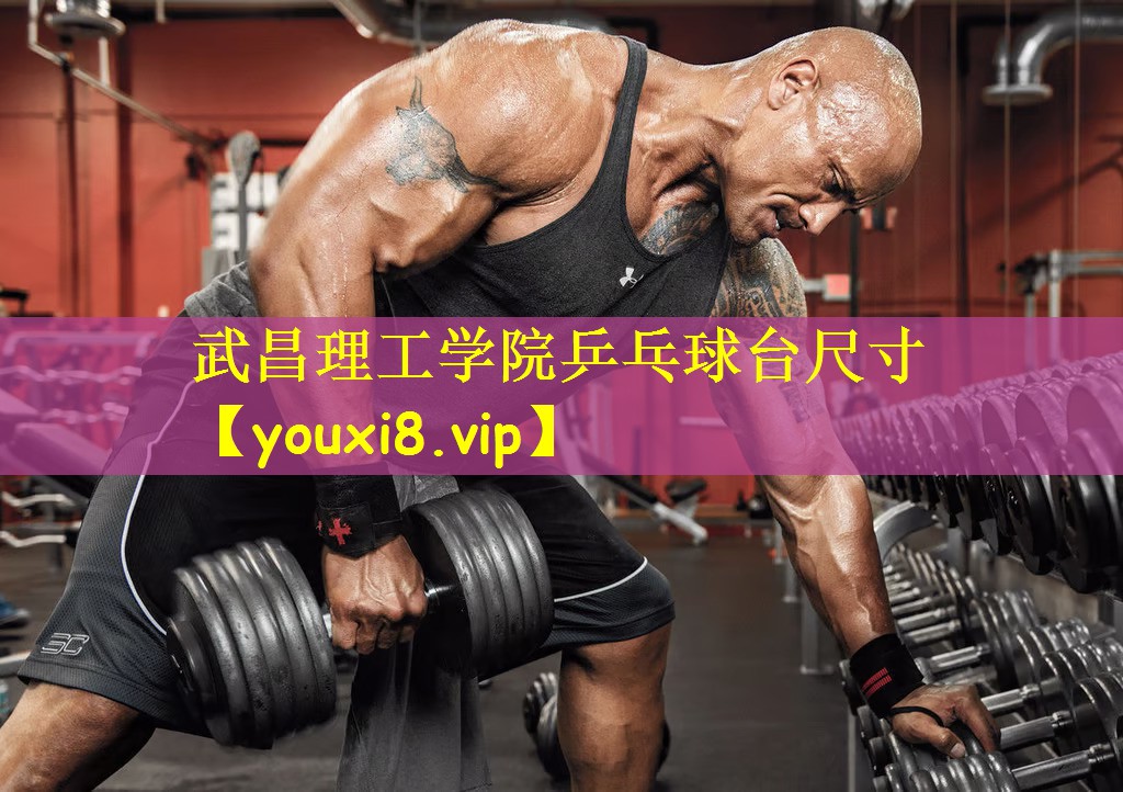 武昌理工学院乒乓球台尺寸