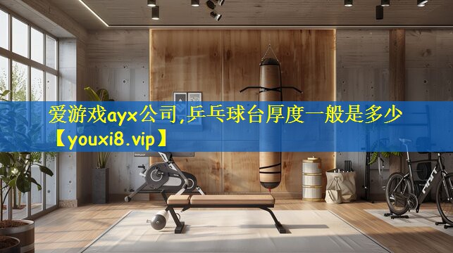爱游戏ayx公司,乒乓球台厚度一般是多少