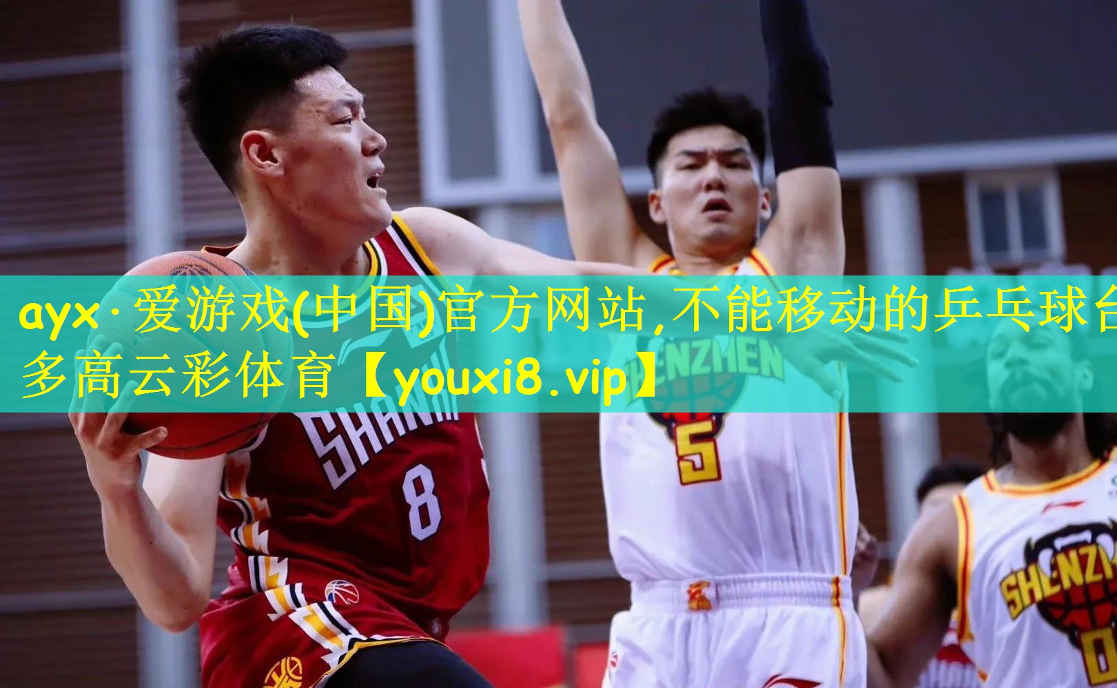 ayx·爱游戏(中国)官方网站,不能移动的乒乓球台多高云彩体育