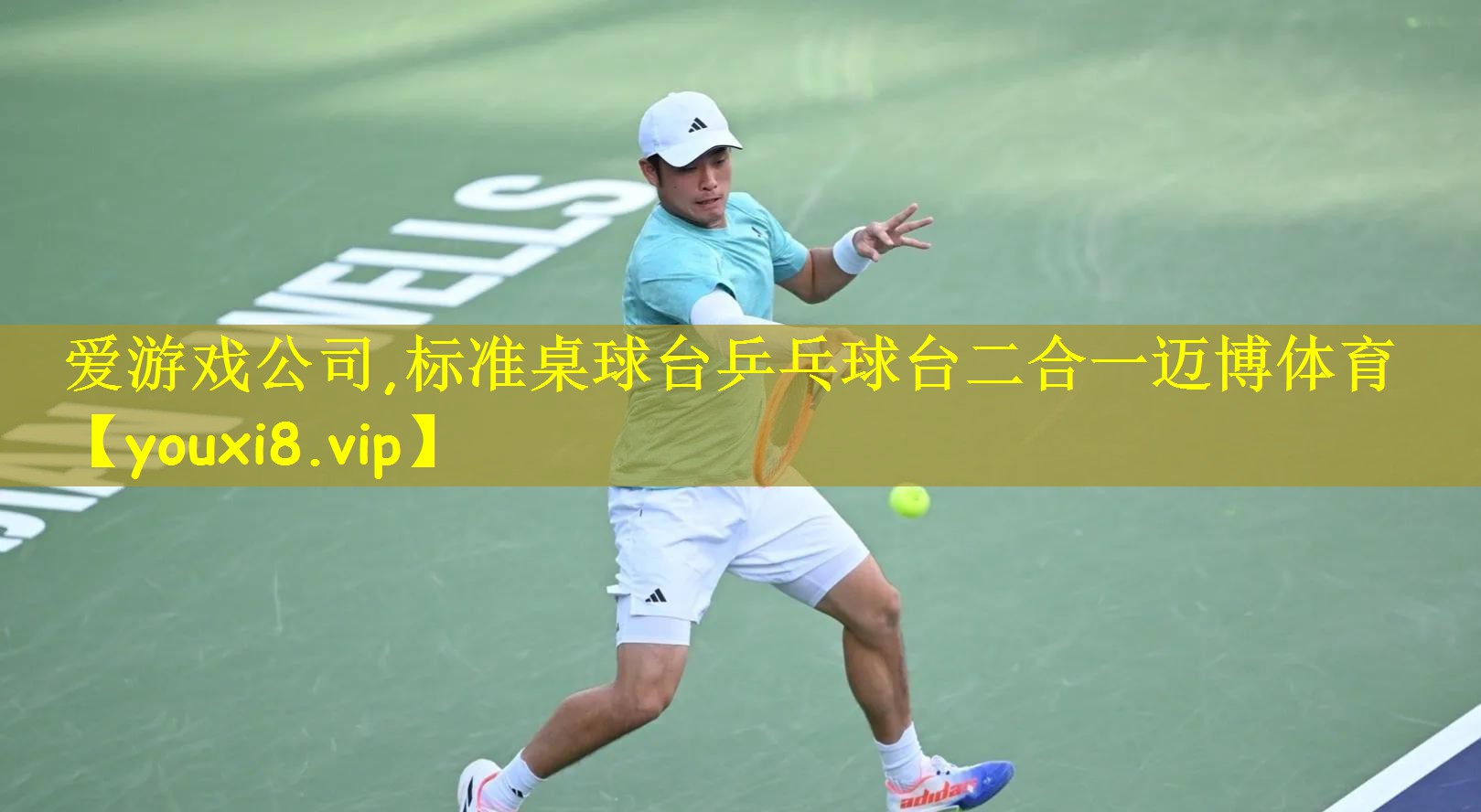 爱游戏公司,标准桌球台乒乓球台二合一迈博体育
