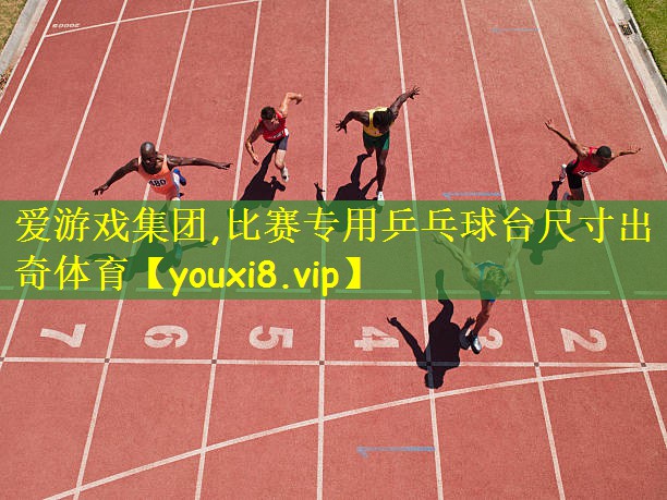 爱游戏集团,比赛专用乒乓球台尺寸出奇体育