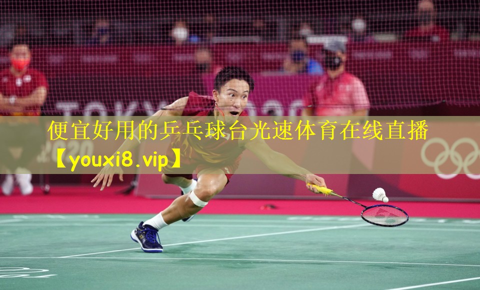 便宜好用的乒乓球台光速体育在线直播
