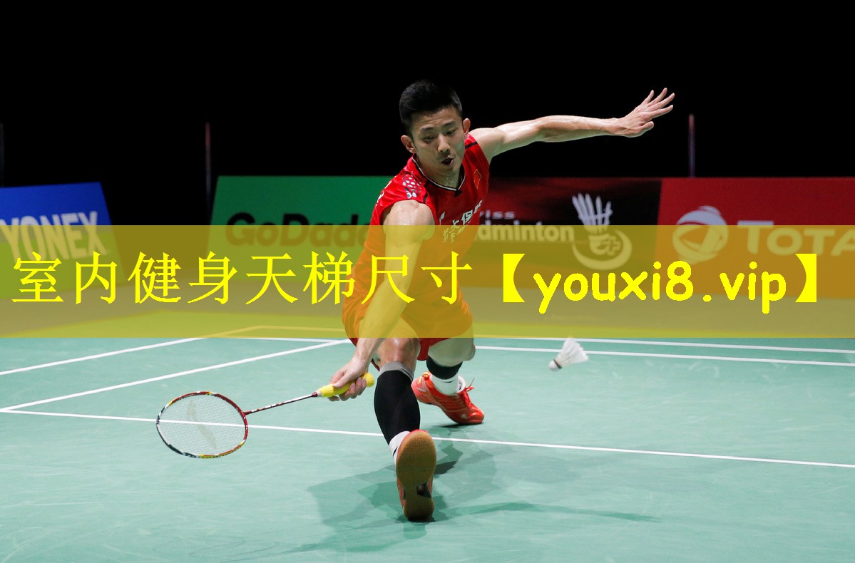 <strong>室内健身天梯尺寸</strong>