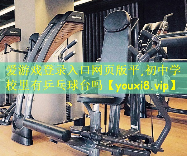 爱游戏登录入口网页版平,初中学校里有乒乓球台吗