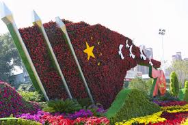 艾弗森ballbet 南阳园林绿化草坪批发市场