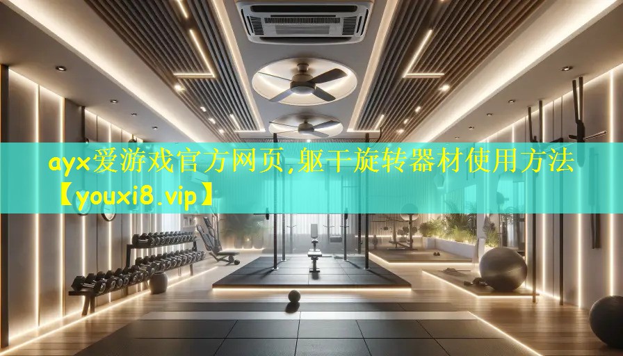 躯干旋转器材使用方法