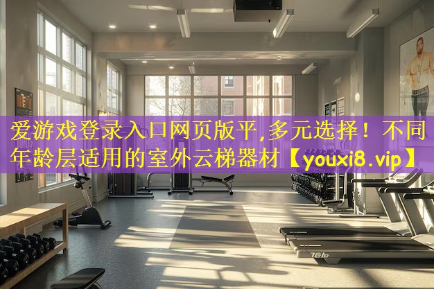 爱游戏登录入口网页版平,多元选择!不同年龄层适用的室外云梯器材