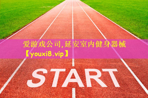 爱游戏公司,延安室内健身器械