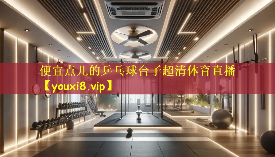 便宜点儿的乒乓球台子超清体育直播