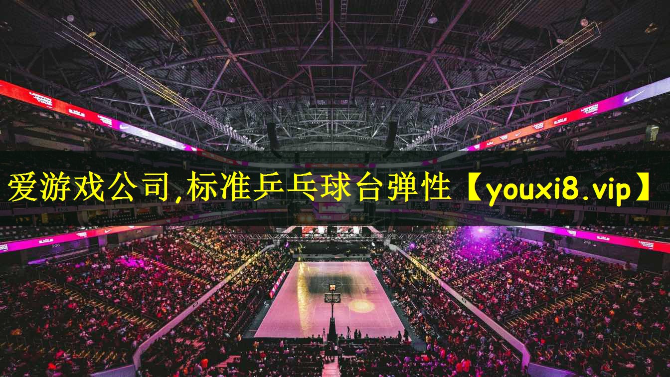 爱游戏公司,标准乒乓球台弹性