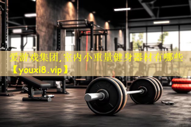 爱游戏集团,室内小重量健身器材有哪些