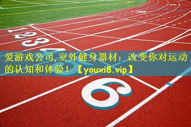 爱游戏公司,室外健身器材:改变你对运动的认知和体验!