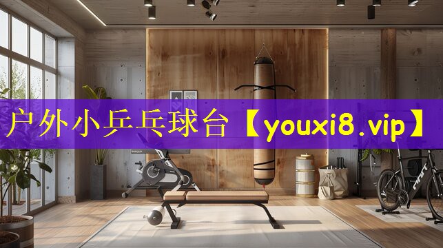 户外小乒乓球台