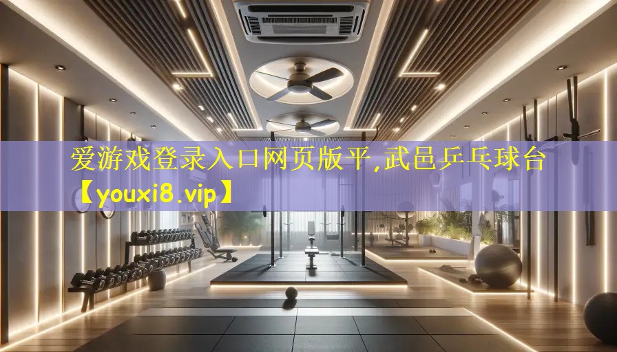 爱游戏登录入口网页版平,武邑乒乓球台