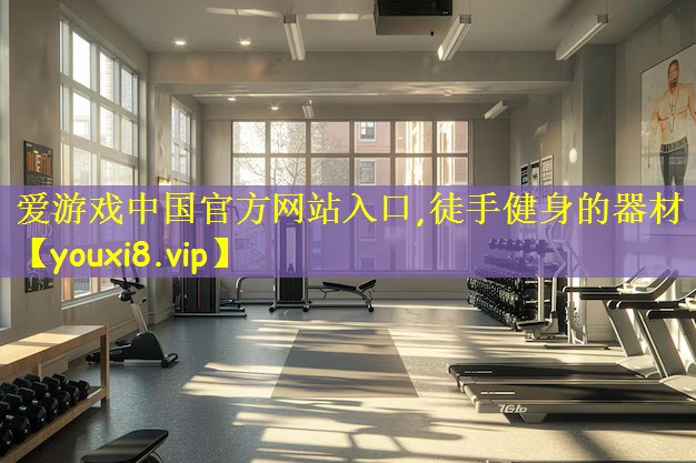 爱游戏中国官方网站入口,徒手健身的器材