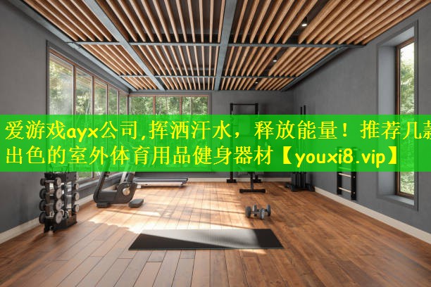 爱游戏ayx公司,挥洒汗水,释放能量!推荐几款出色的室外体育用品健身器材