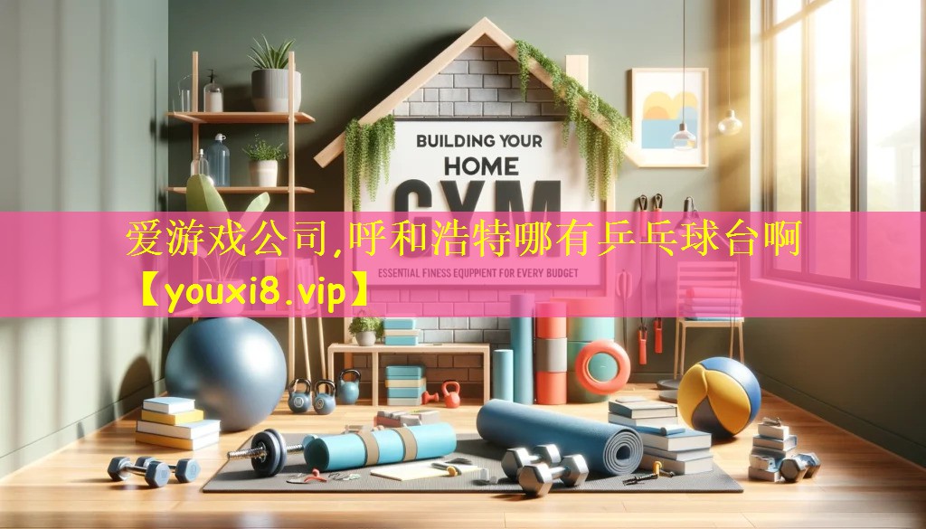 爱游戏公司,呼和浩特哪有乒乓球台啊