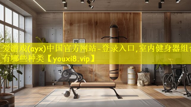 爱游戏(ayx)中国官方网站-登录入口,室内健身器组合有哪些种类