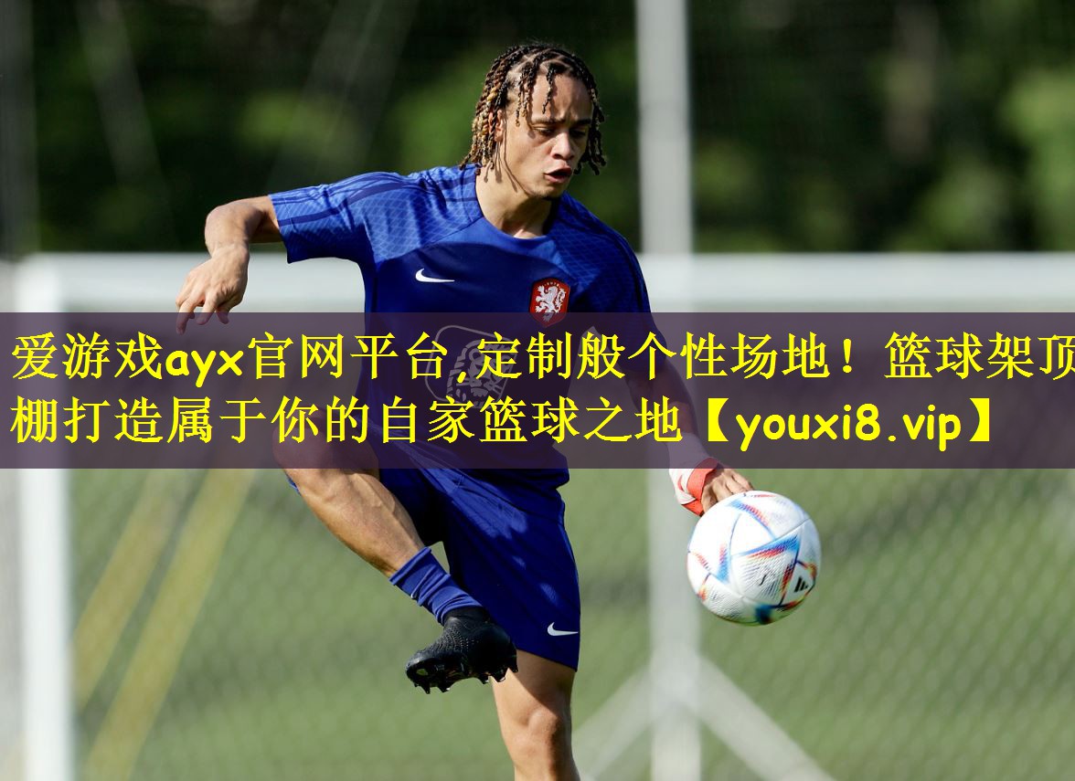 爱游戏ayx官网平台,定制般个性场地!篮球架顶棚打造属于你的自家篮球之地