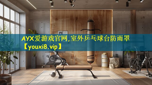 AYX爱游戏官网,室外乒乓球台防雨罩