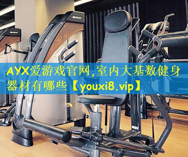 AYX爱游戏官网,室内大基数健身器材有哪些