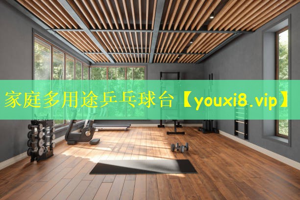 <strong>家庭多用途乒乓球台</strong>