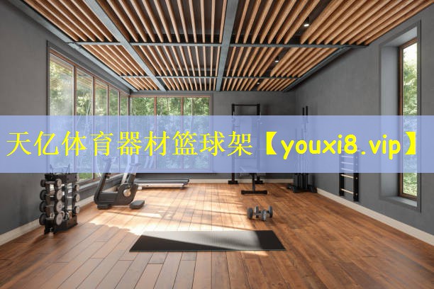 天亿体育器材篮球架