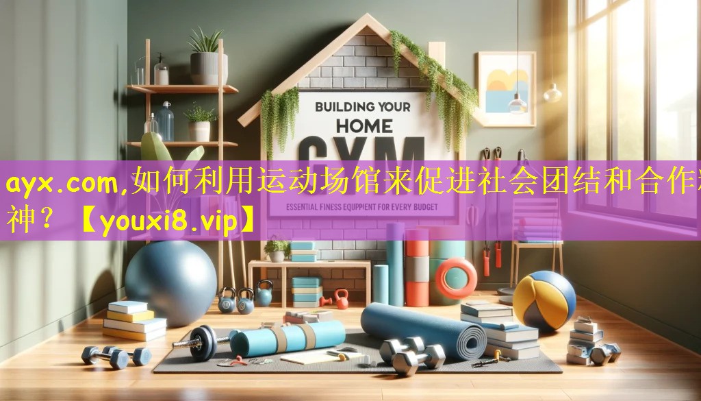 如何利用运动场馆来促进社会团结和合作精神？