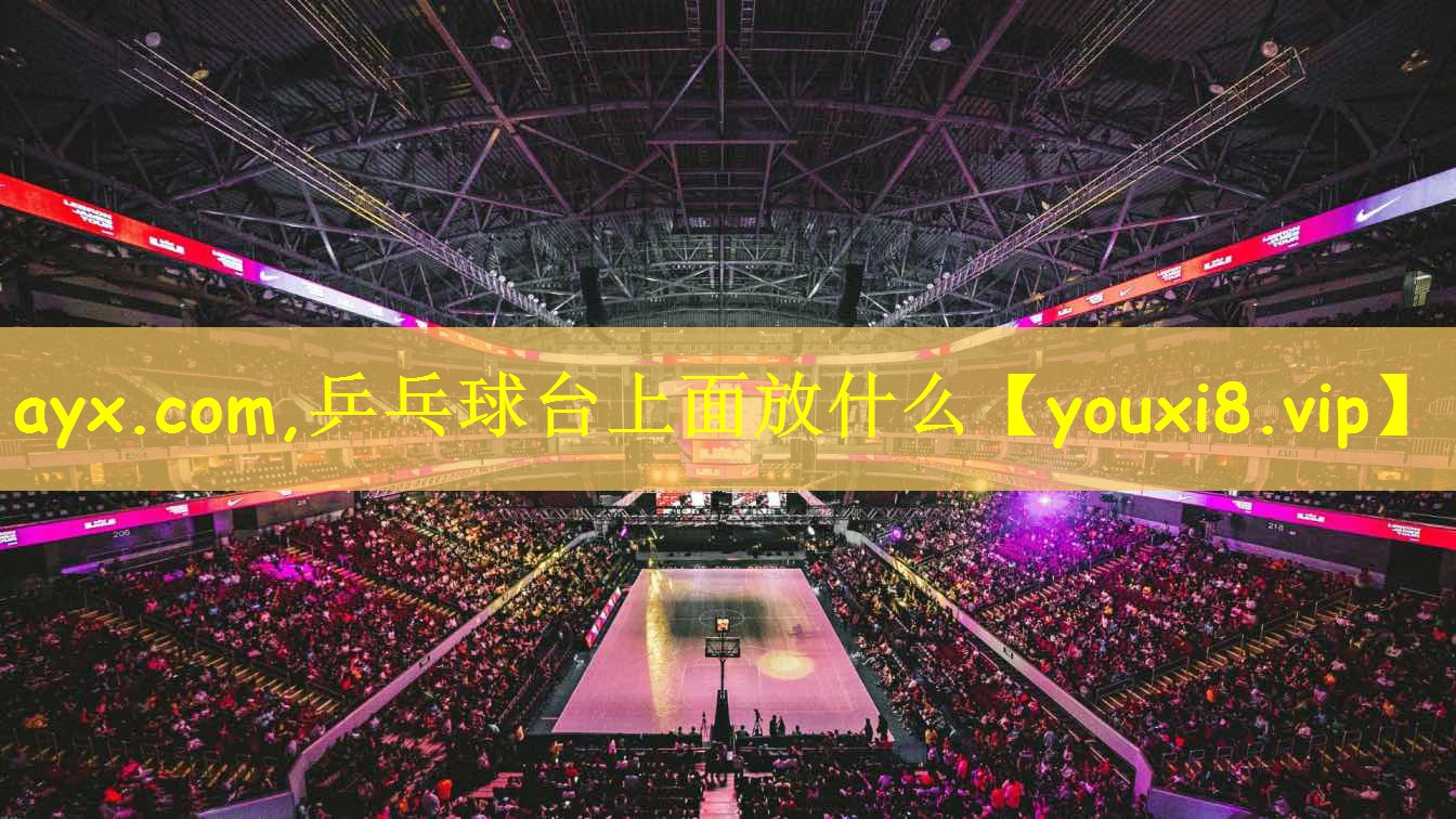 乒乓球台上面放什么