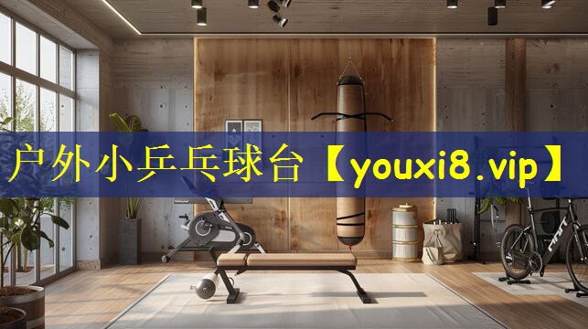户外小乒乓球台