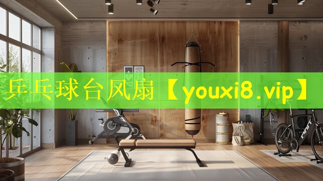 乒乓球台风扇