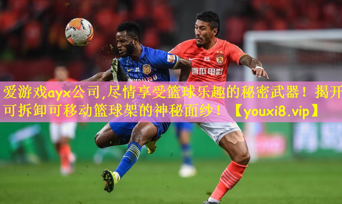 尽情享受篮球乐趣的秘密武器！揭开可拆卸可移动篮球架的神秘面纱！