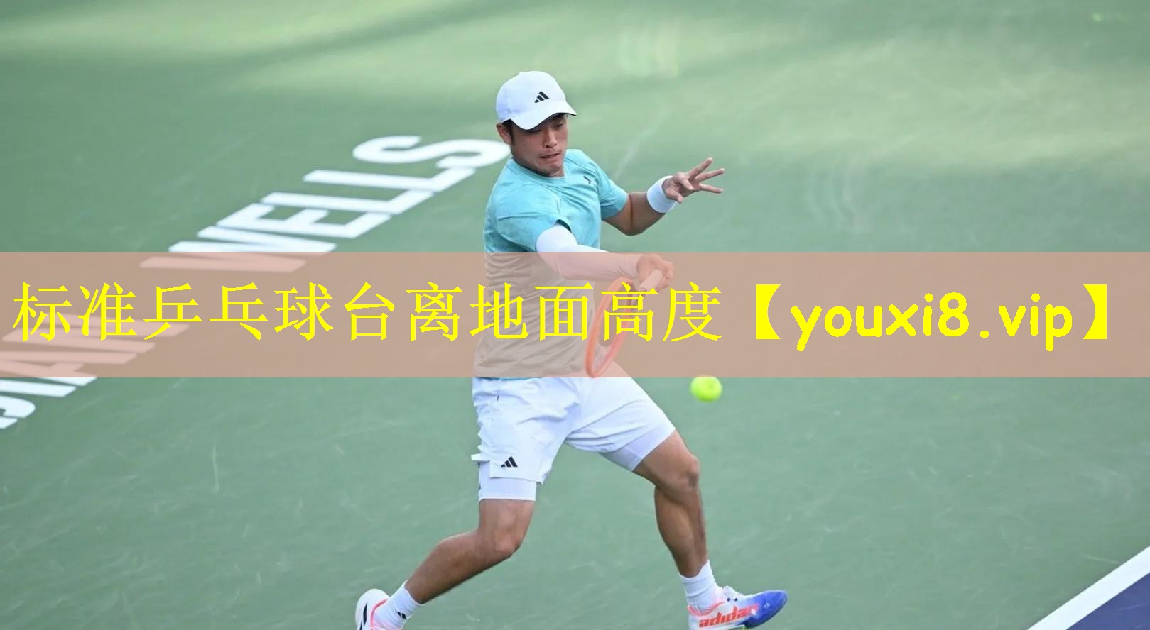 标准乒乓球台离地面高度