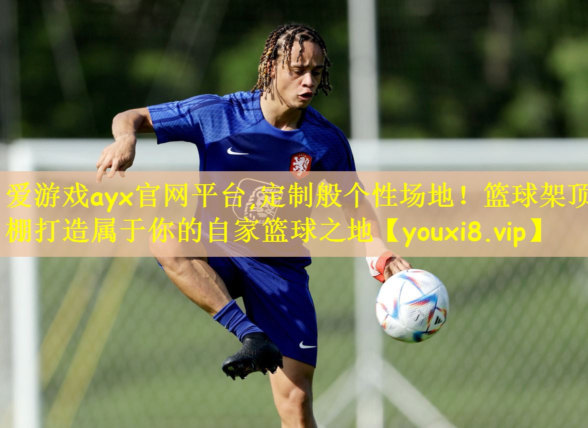 定制般个性场地！篮球架顶棚打造属于你的自家篮球之地