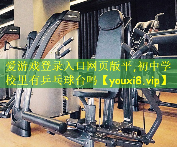 初中学校里有乒乓球台吗